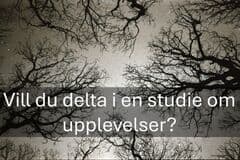 Studie om upplevelser