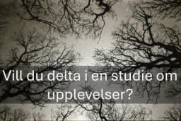 Studie om upplevelser