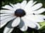 smalltowndude